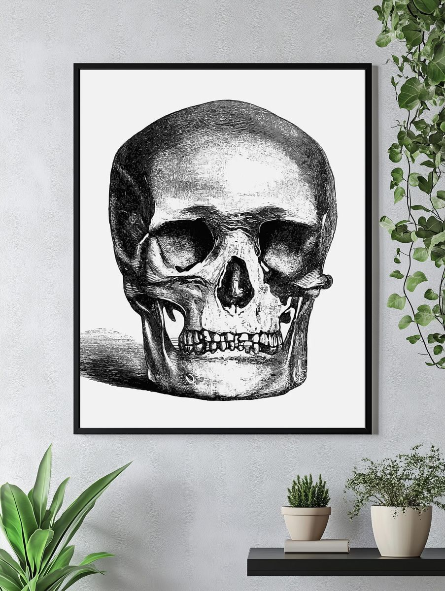 Vintage European style skull engraving. — room view 4