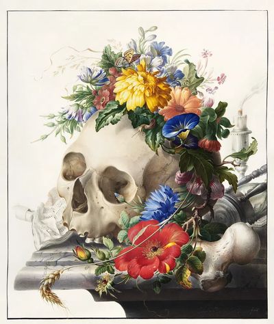 Vanitas still life (1667-1726) painting.