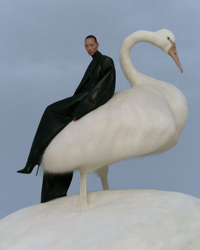 Fashion Swan Portrait Print.