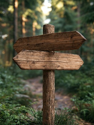 Forest Trail Sign Photography Poster. poster