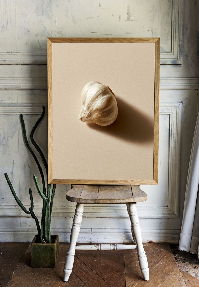Garlic Still Life Photography Print. — room view 1