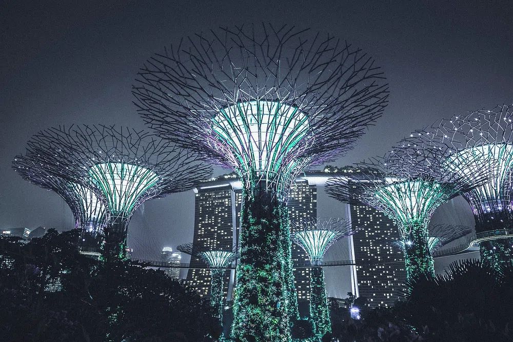 Gardens by the Bay — Night Photography Poster. poster — photography art