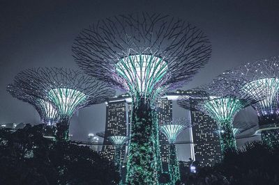 Gardens by the Bay — Night Photography Poster. poster print