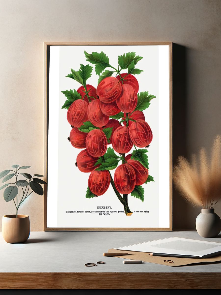 Gooseberry Industry Botanical Print. — room view 2