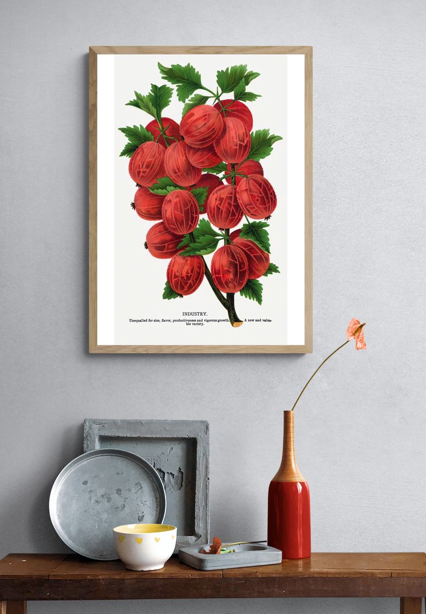 Gooseberry Industry Botanical Print. — room view 3