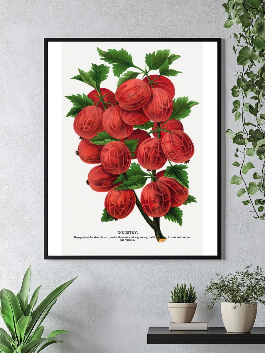 Gooseberry Industry Botanical Print. — room view 4