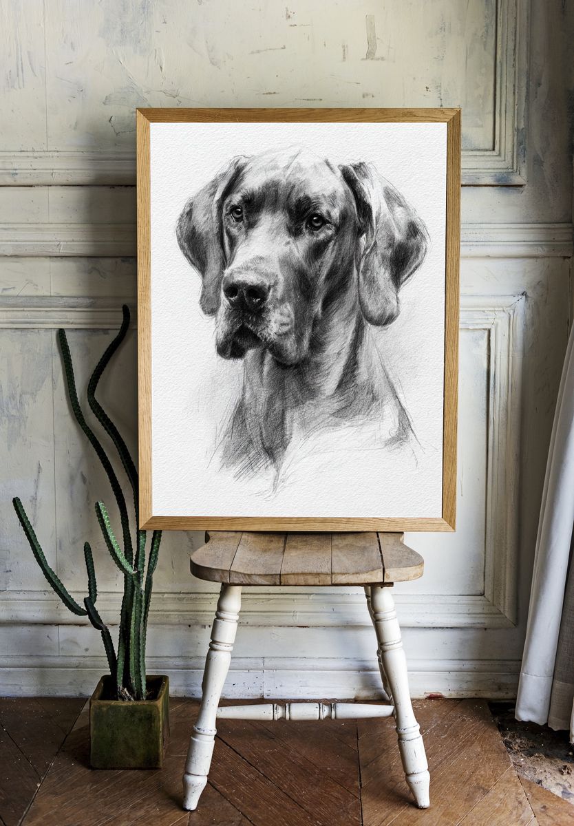 Great Dane Sketch Poster. room preview