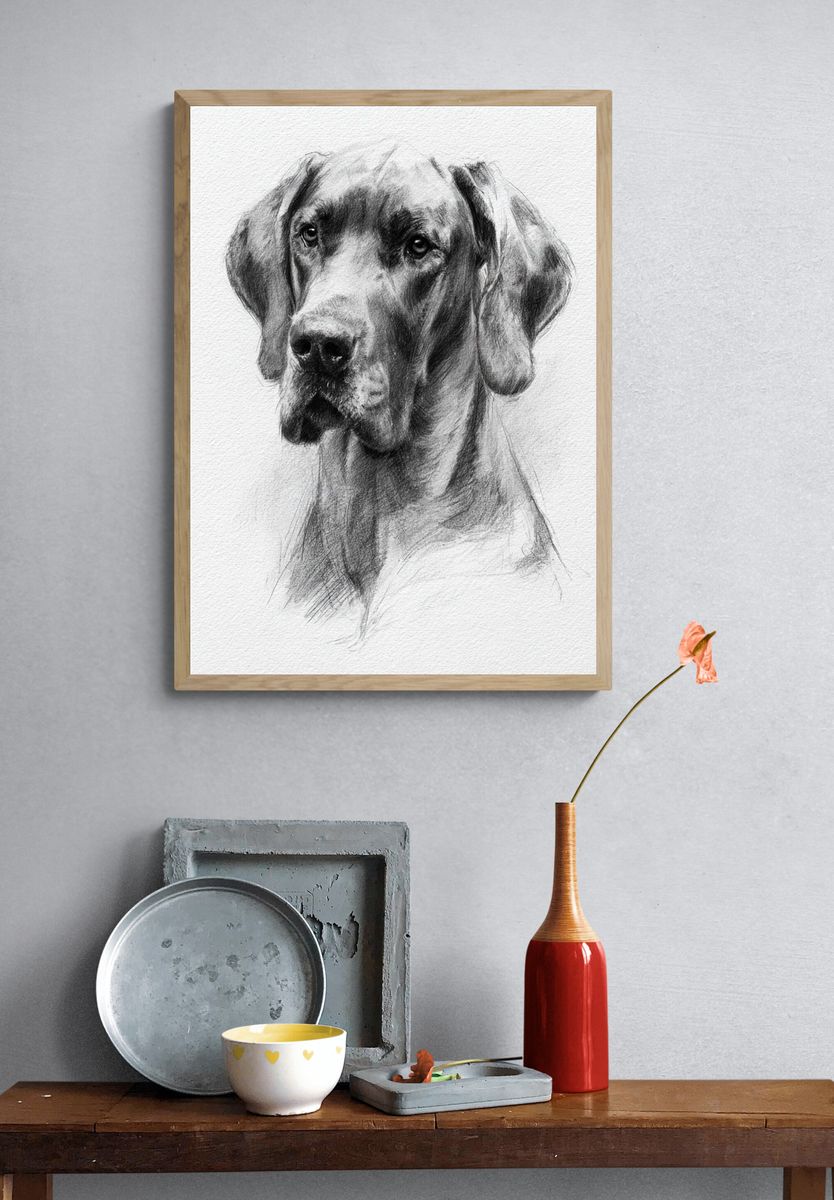 Great Dane Sketch Poster. — room view 3