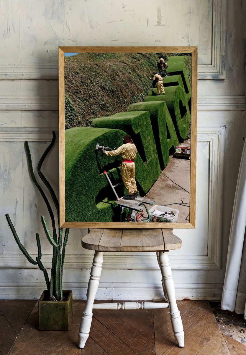 Green Grass Sculptures — Photography Print. — room view 1