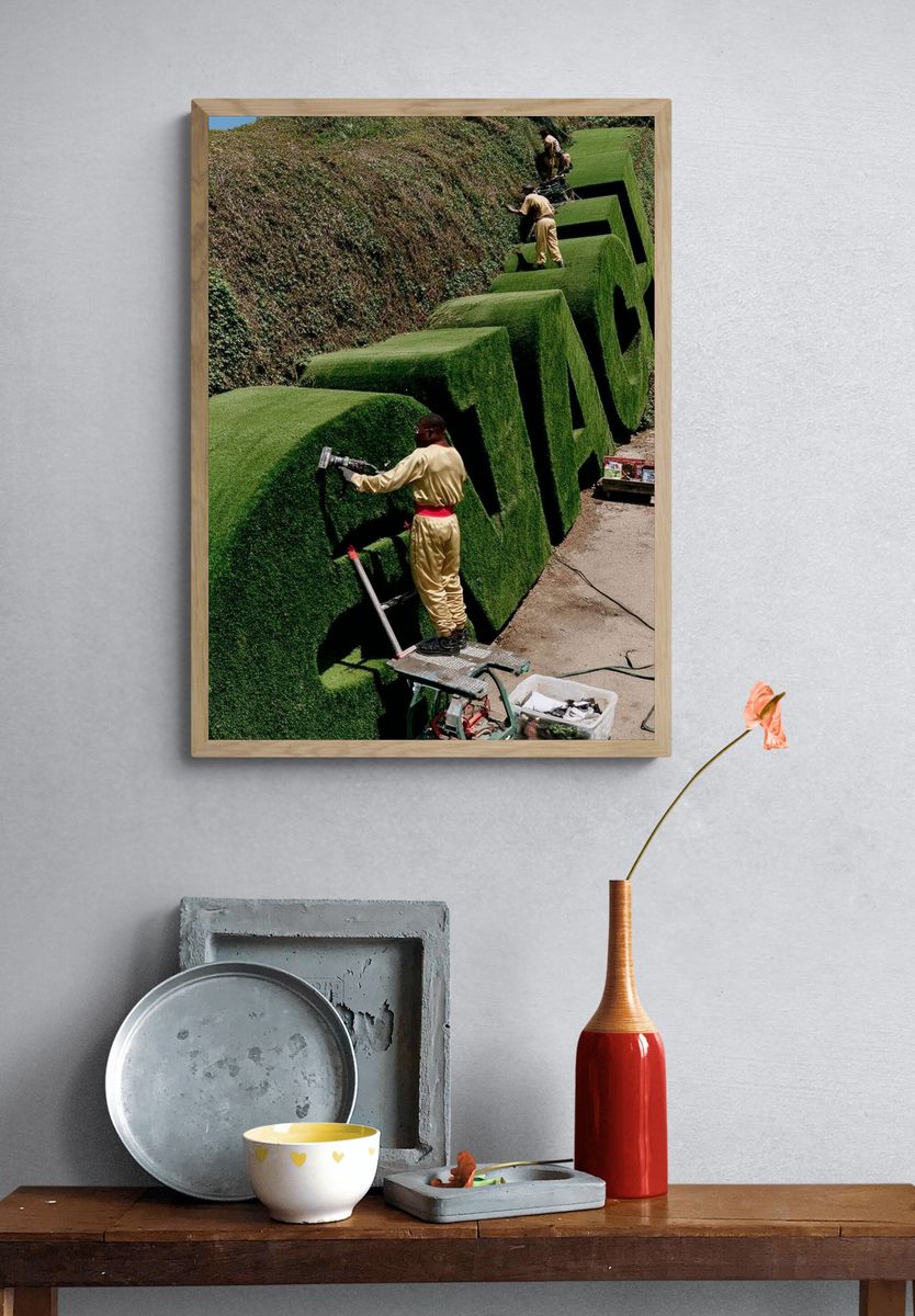 Green Grass Sculptures — Photography Print. — room view 3