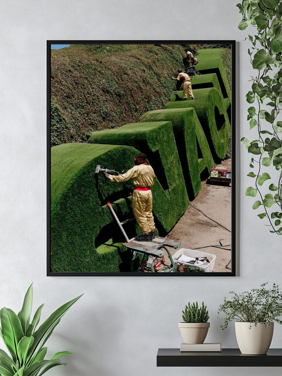 Green Grass Sculptures — Photography Print. — room view 4