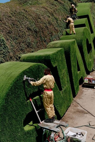 Green Grass Sculptures — Photography Print. poster