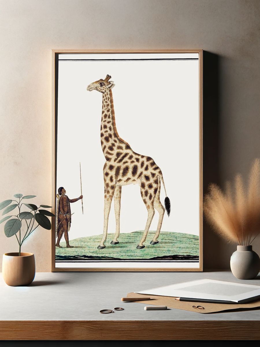Giraffe and Hunter — Vintage Print. — room view 2
