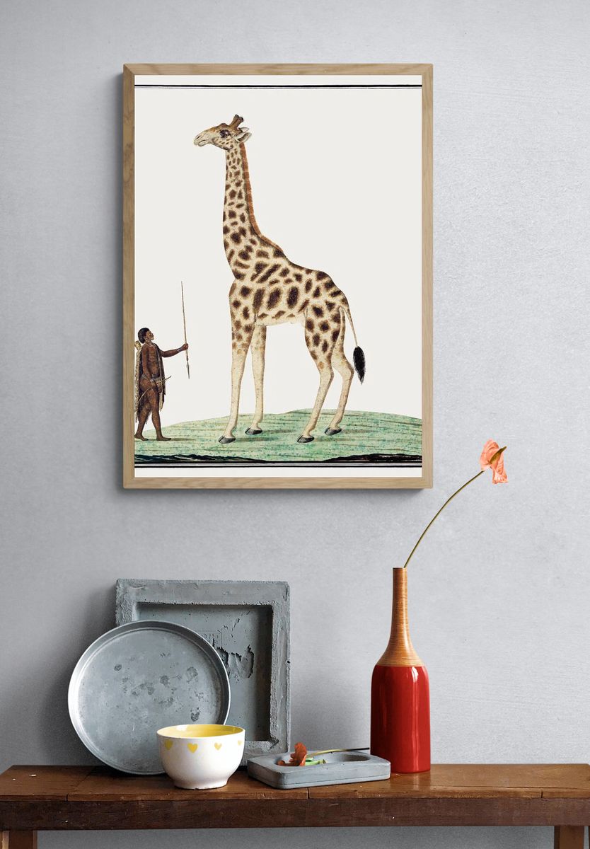 Giraffe and Hunter — Vintage Print. — room view 3