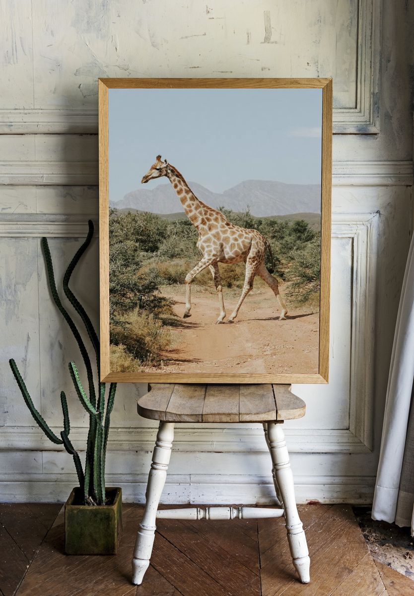 Giraffe. room preview
