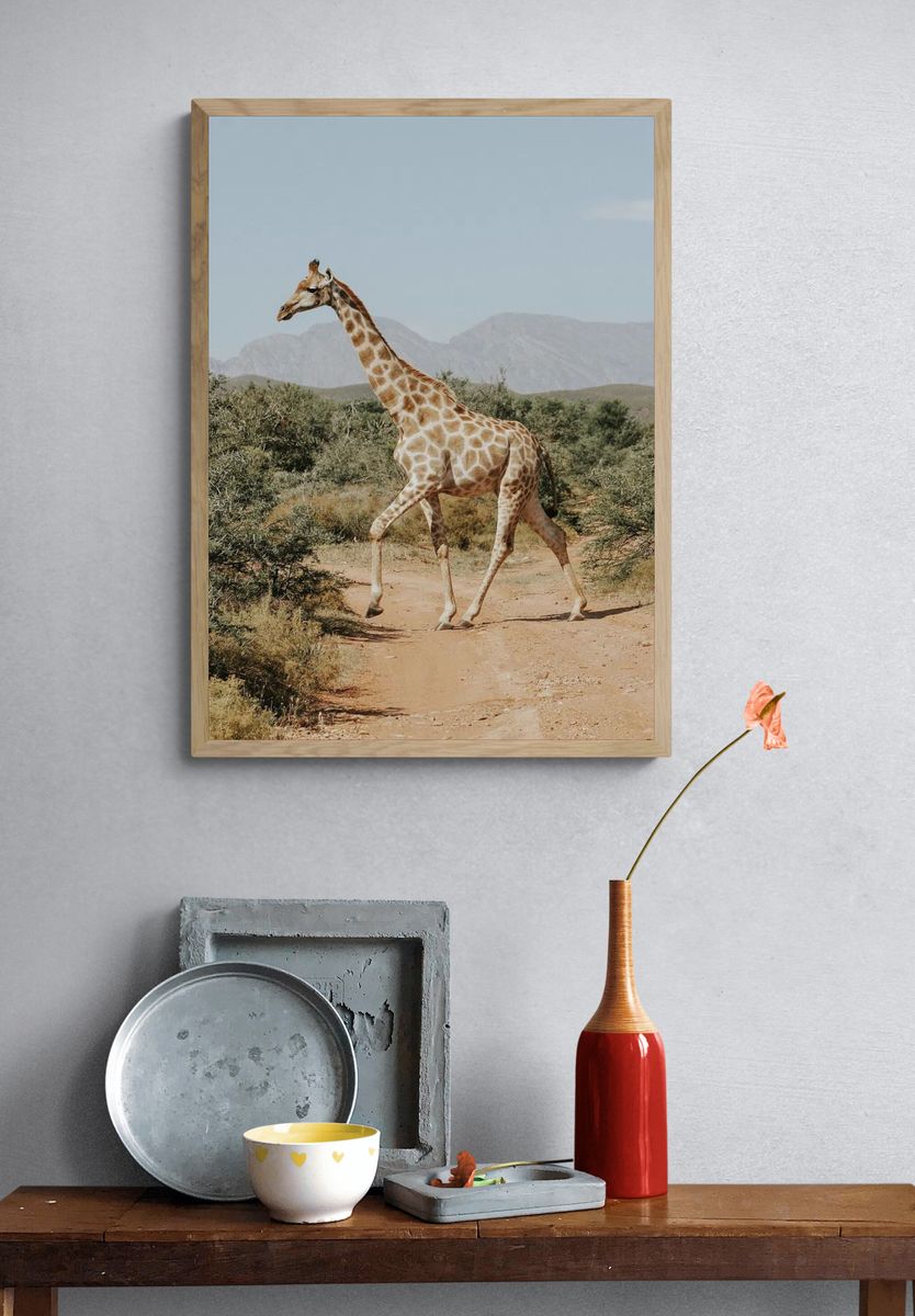 Giraffe. — room view 3