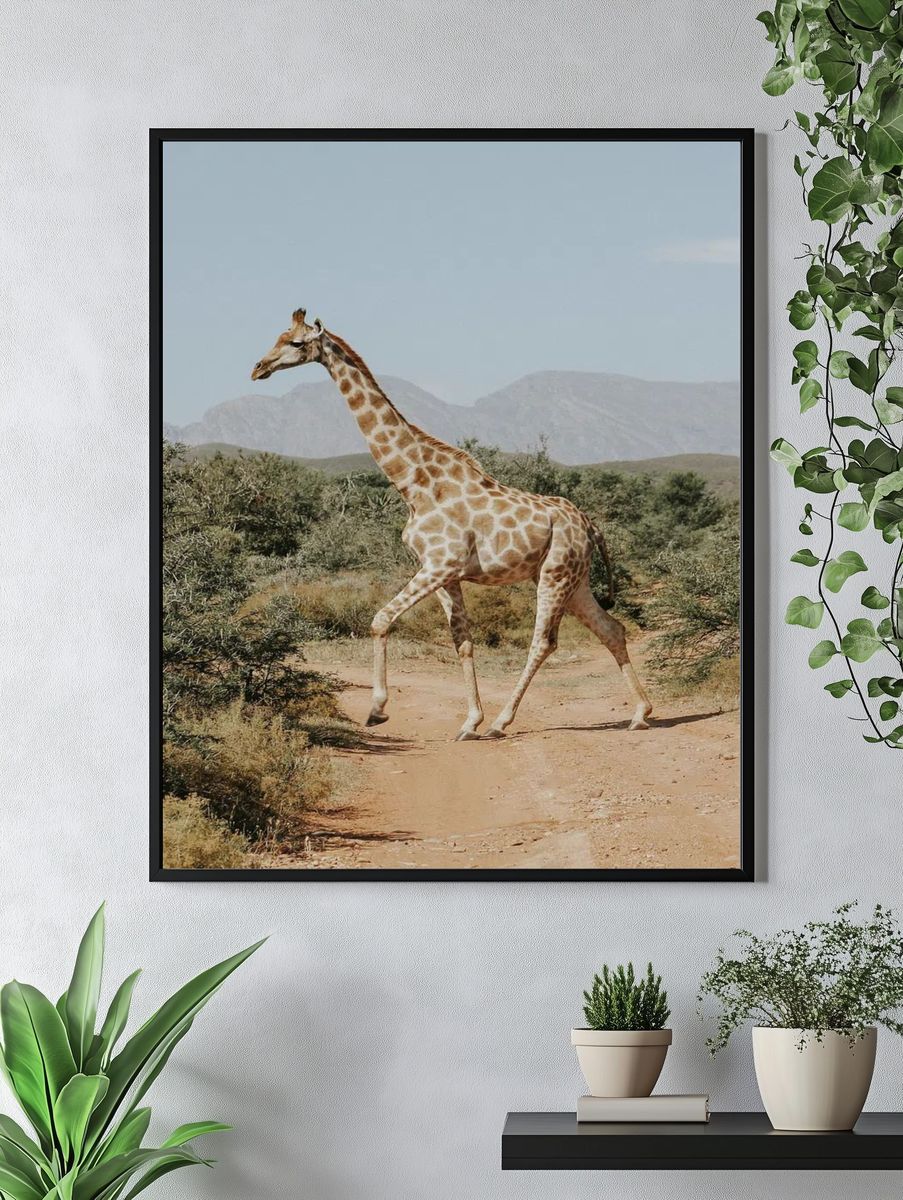 Giraffe. — room view 4