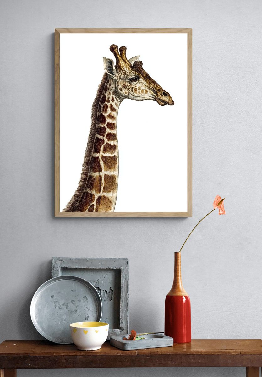Giraffe Portrait Illustration Poster. — room view 3