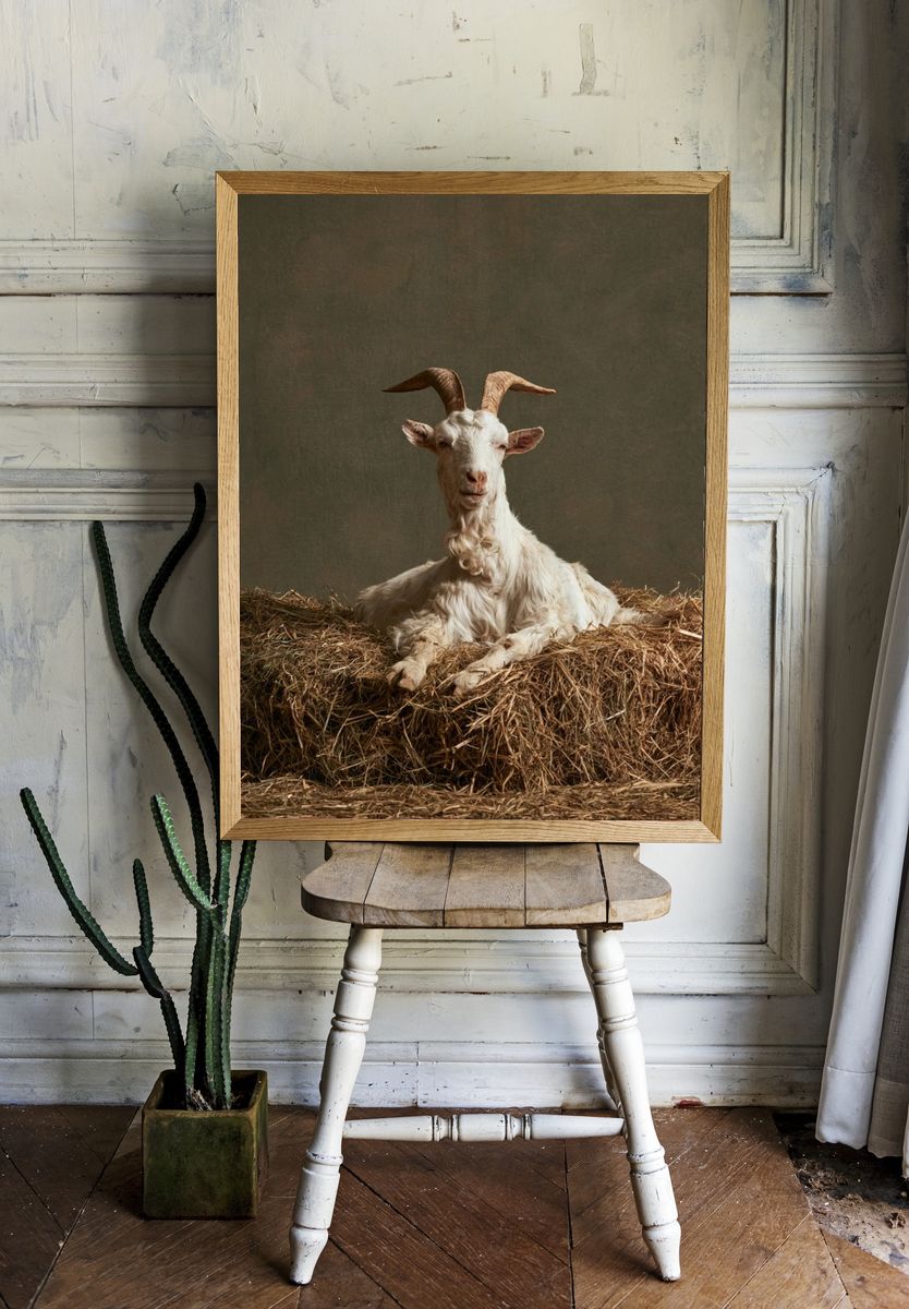 Goat Portrait Photography Poster. — room view 1