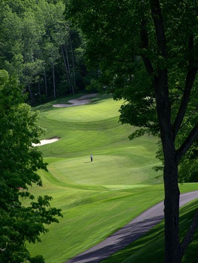 Green Golf Course Landscape Poster.