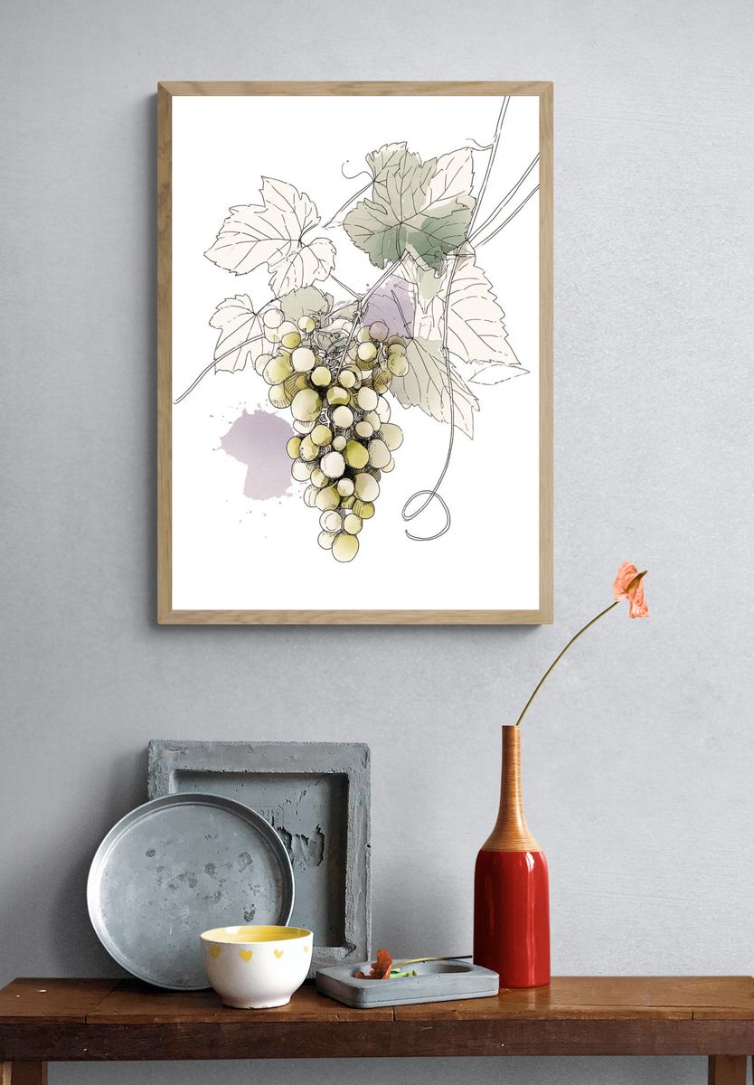 Grapes Illustration Poster. — room view 3