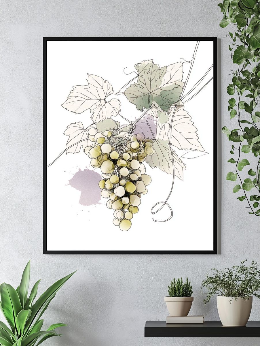 Grapes Illustration Poster. — room view 4