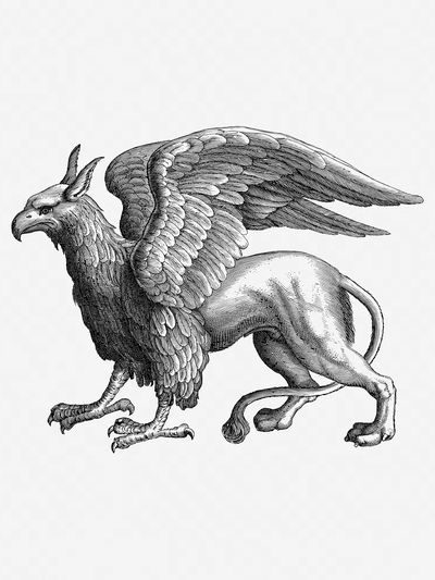 Mythical Griffin Illustration Poster. poster