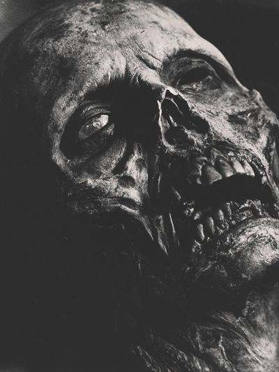 Gothic Skull Portrait Print. poster