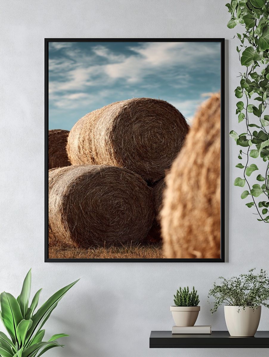 Hay Bales in Blue Sky Poster. — room view 4