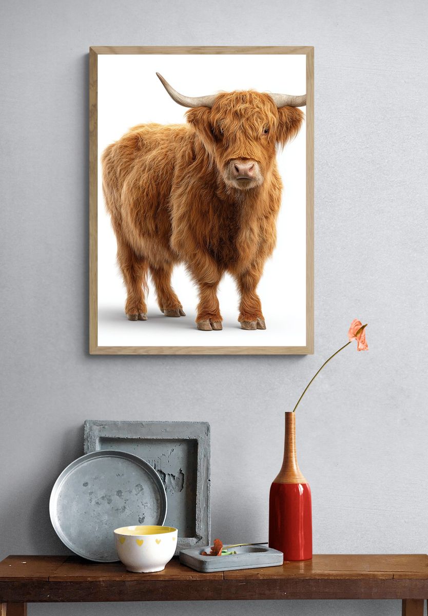 Highland Cow — Animal Print. — room view 3