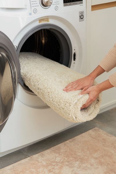 Washing a Cozy Rug — Home Decor Print. poster print
