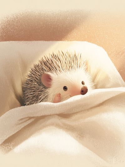 Cute Hedgehog — Illustration Print. poster print