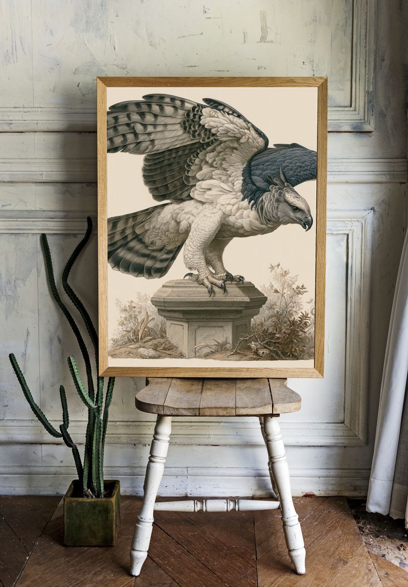 Harpy Eagle Botanical Illustration Poster. room preview
