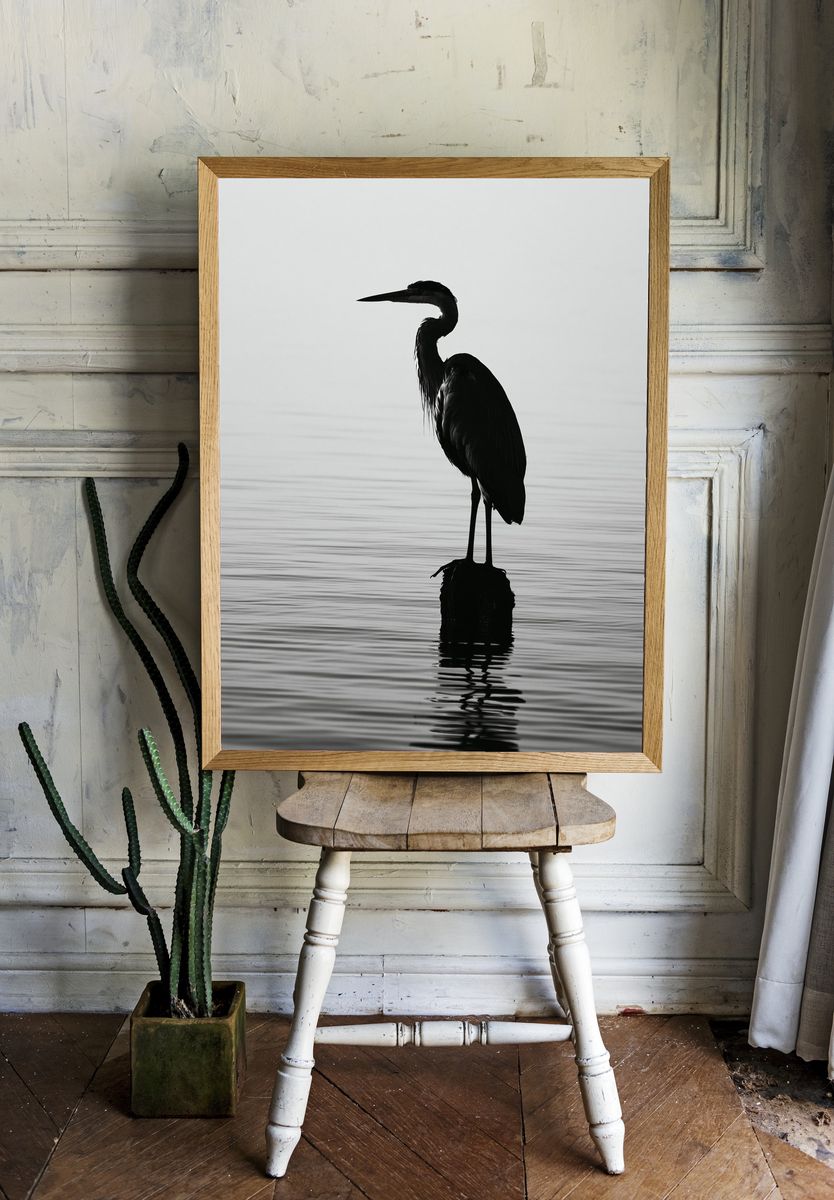 Heron Silhouette Photography Poster. room preview