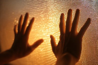 Hands Against the Light — Photography Print. poster print