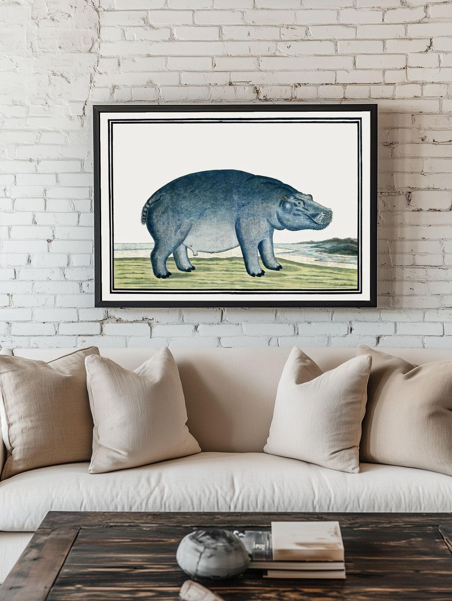 Hippo Illustration — Vintage Print. — room view 1