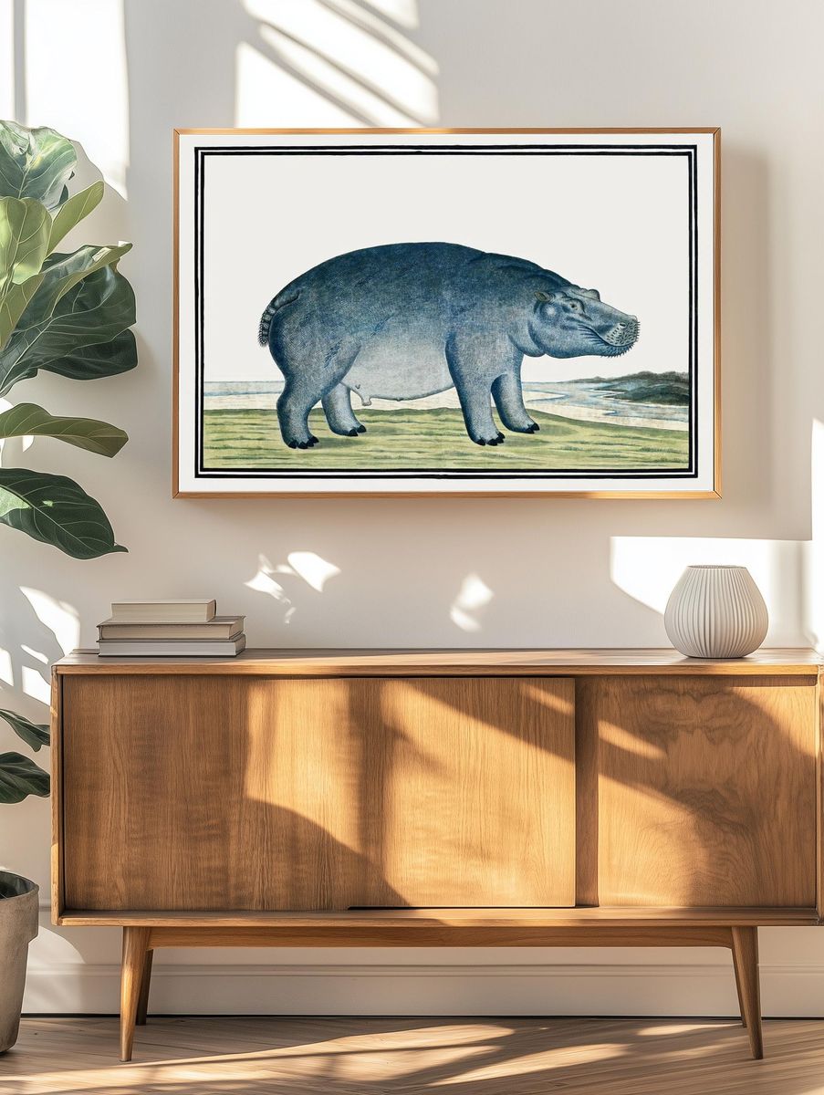 Hippo Illustration — Vintage Print. — room view 3