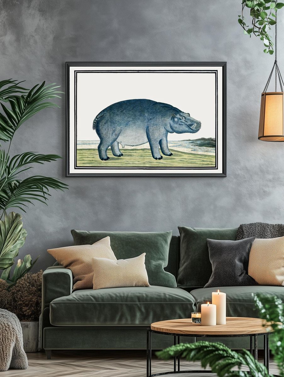 Hippo Illustration — Vintage Print. — room view 4