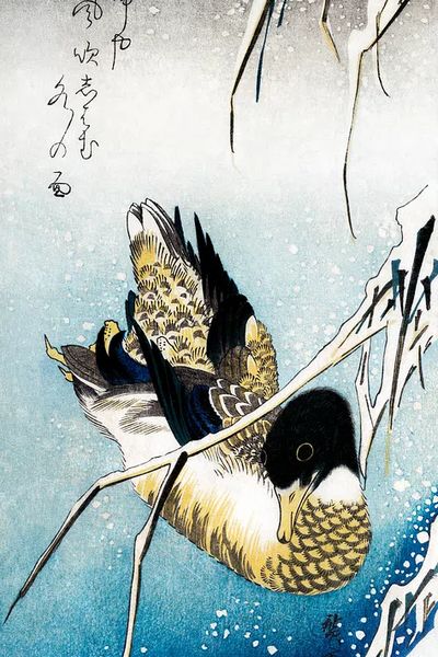 Mallard duck (1843) vintage Japanese.