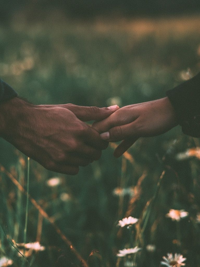 Hands in Meadow Photography Poster. poster — photography art