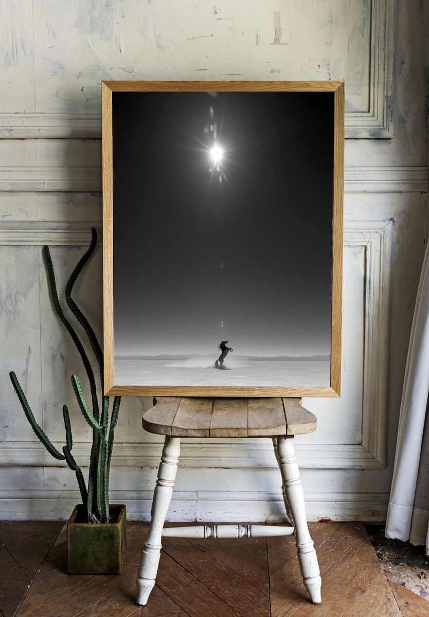 Rearing Horse Monochrome Poster. room preview