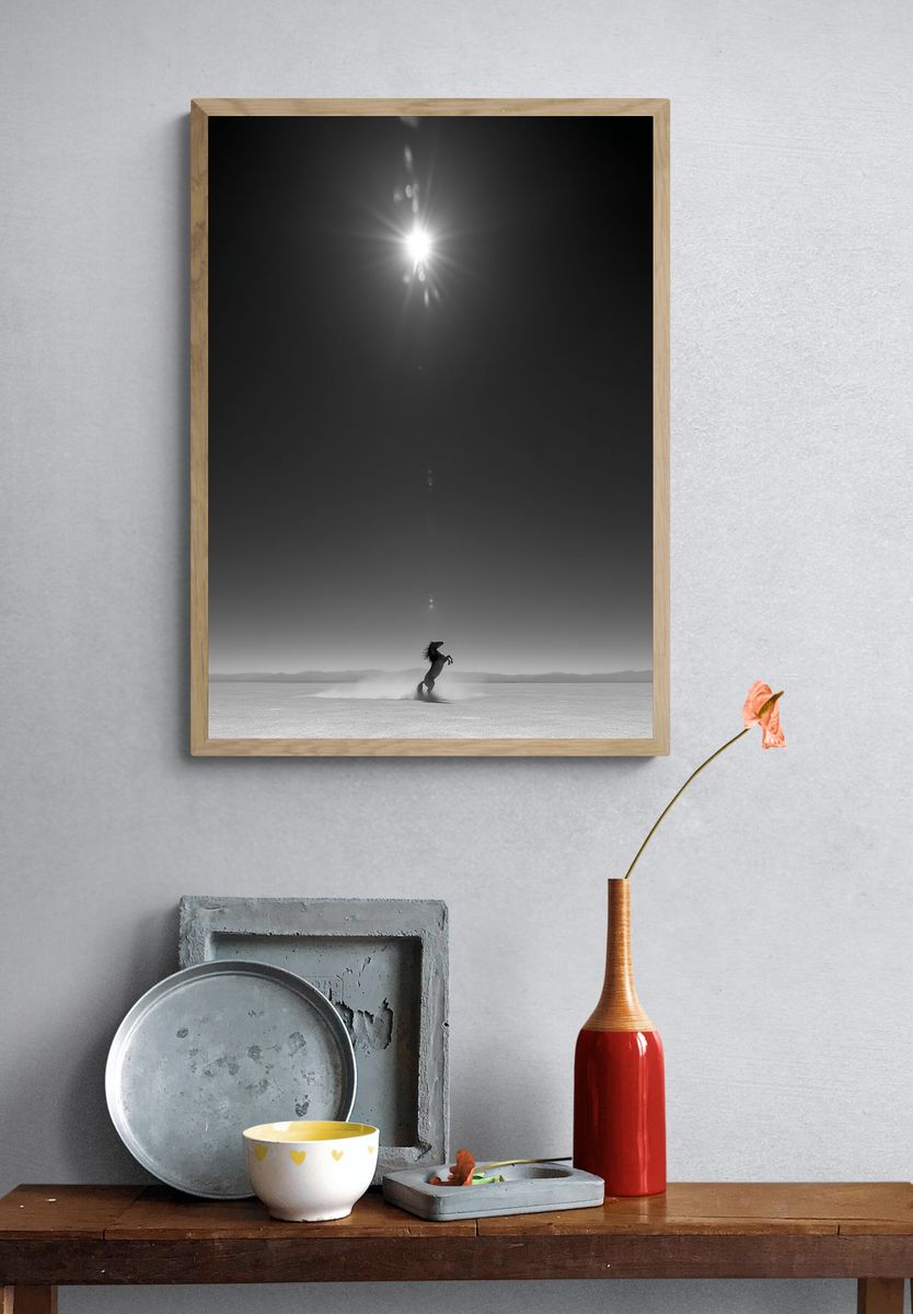 Rearing Horse Monochrome Poster. — room view 3