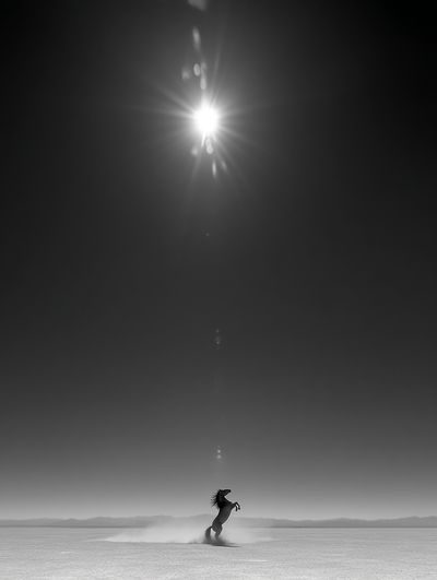 Rearing Horse Monochrome Poster. poster