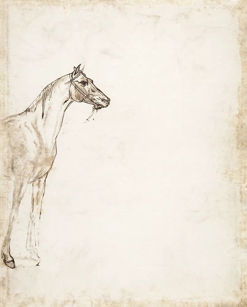 Study Horse (ca. 1817–1818) drawing. poster detail