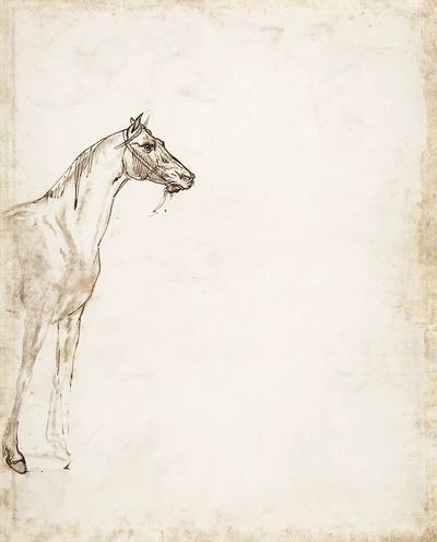 Study Horse (ca. 1817–1818) drawing. poster