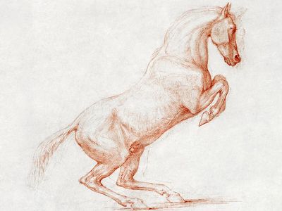 A Prancing Horse, Facing Right (ca. 1790).