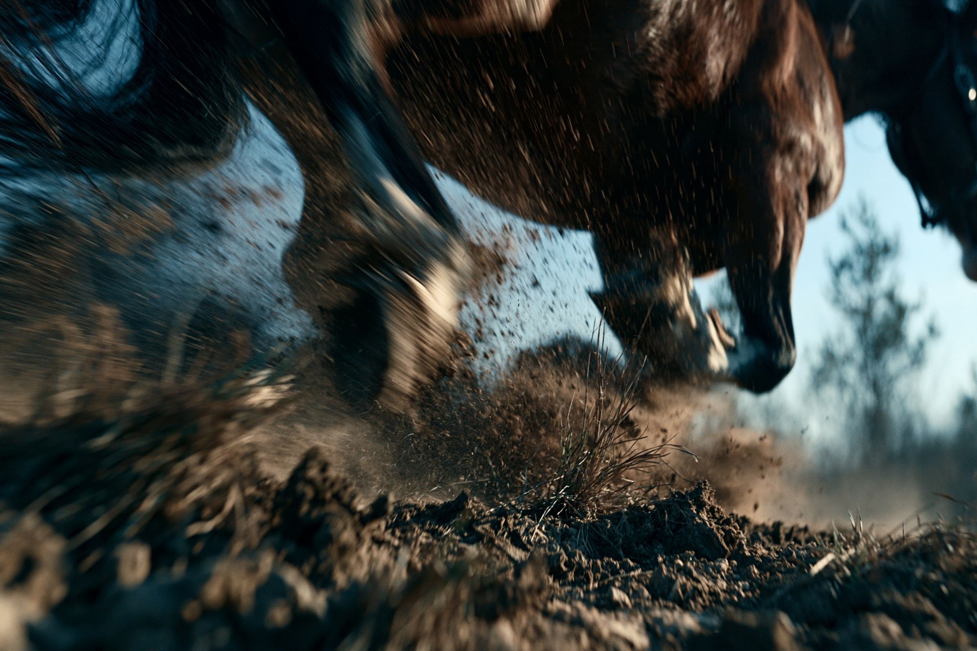 Galloping Horse Action Photography Poster. poster detail