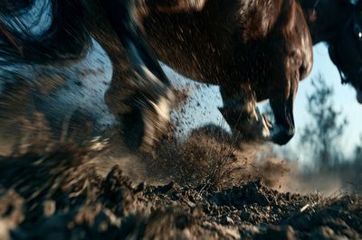 Galloping Horse Action Photography Poster.