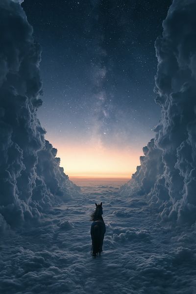 Horse Above the Clouds Fantasy Print.