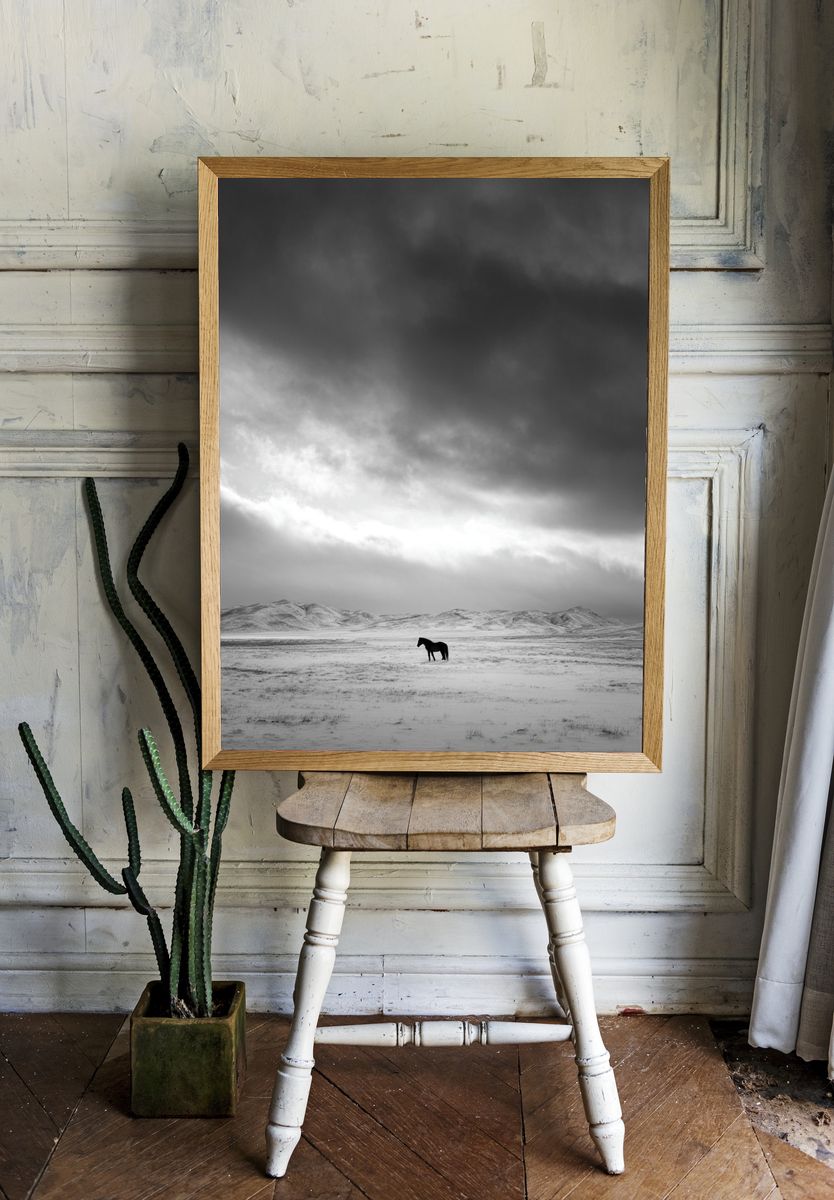 Solitary Horse in Snowy Landscape Poster. room preview